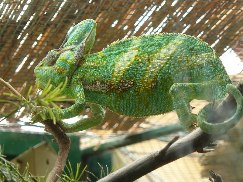 2008 05 Séjour à Martel 86